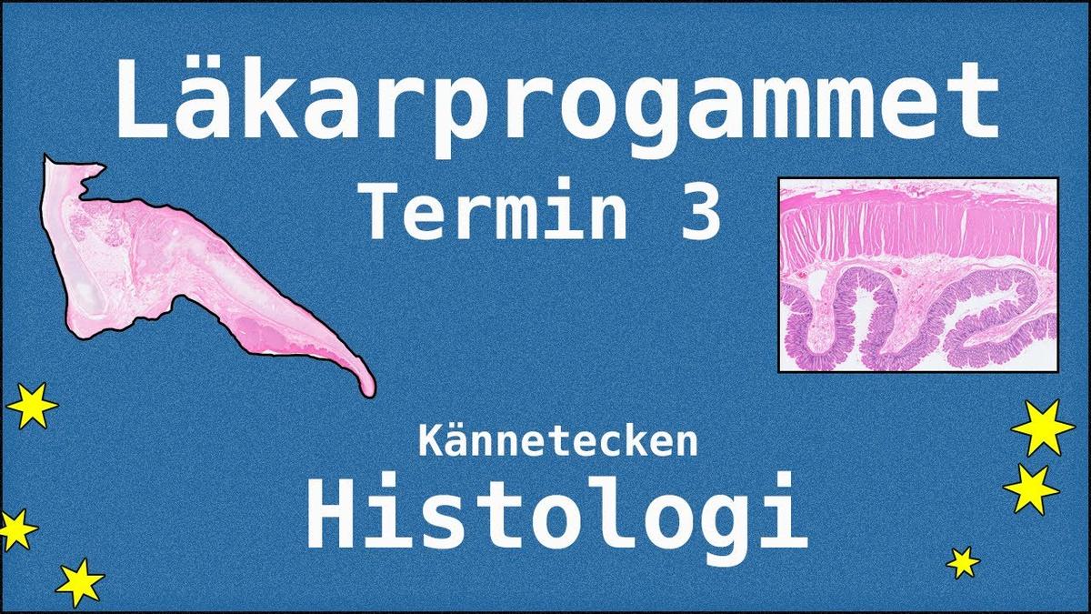 Histologi - Läkarprogrammet T3