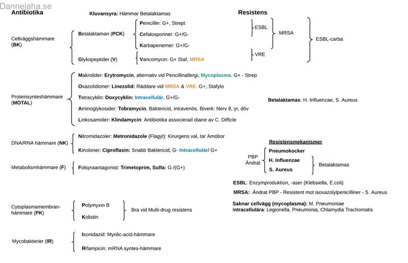 Antibiotika sammanfattning