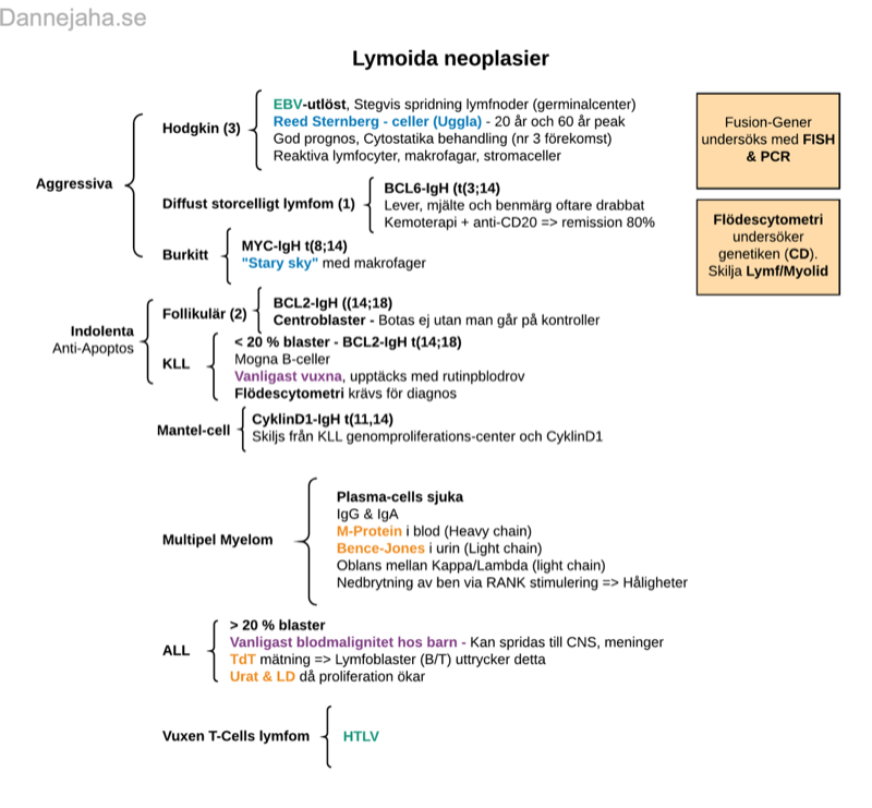 Lymfoida Neoplasier sammanfattning