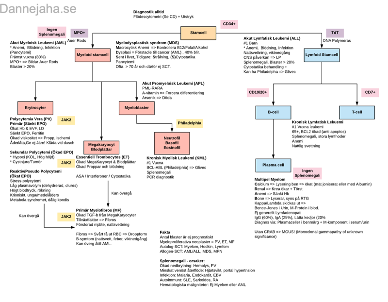 Myeloida-Neopatier sammanfattning