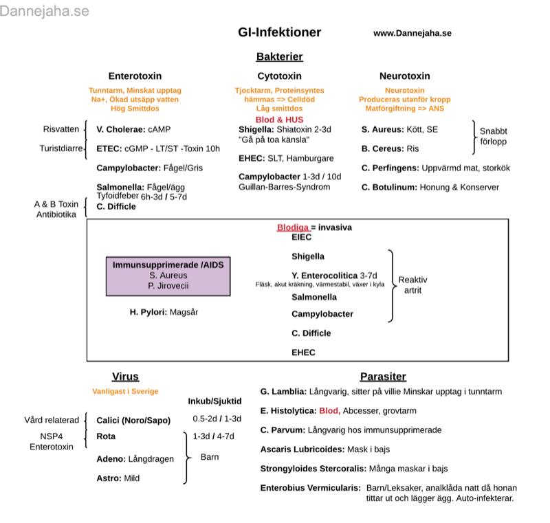 GI-Infektioner sammanfattning