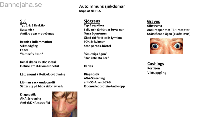 Autoimmuna sjukdomar sammanfattning