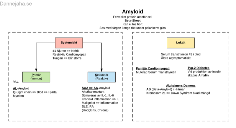 Amyloid sammanfattning