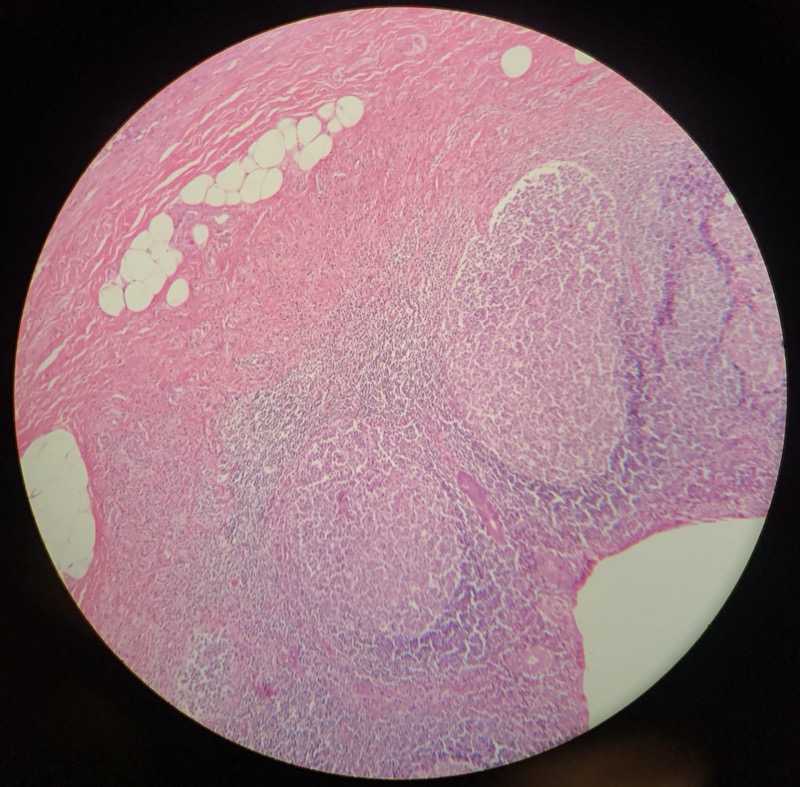 Appendix - bild 5