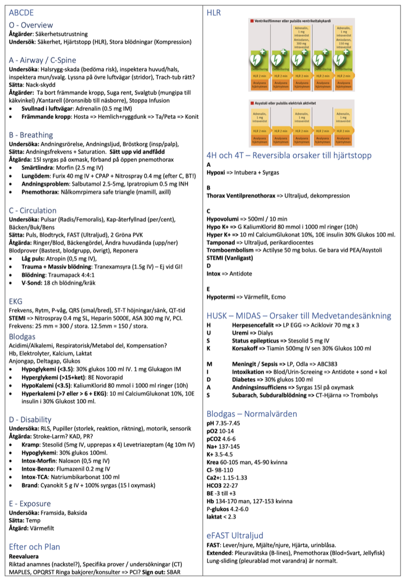 Schematisk referensguide för oABCDE++ med stegen för akut omhändertagande.