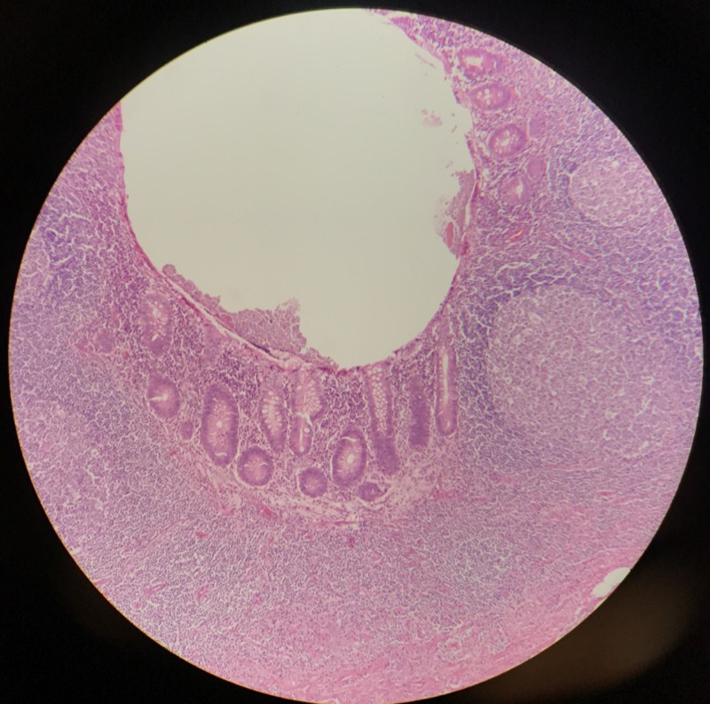 Appendix - bild 7