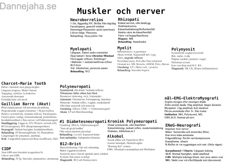 Neurologiska sjukdomar översikt 6