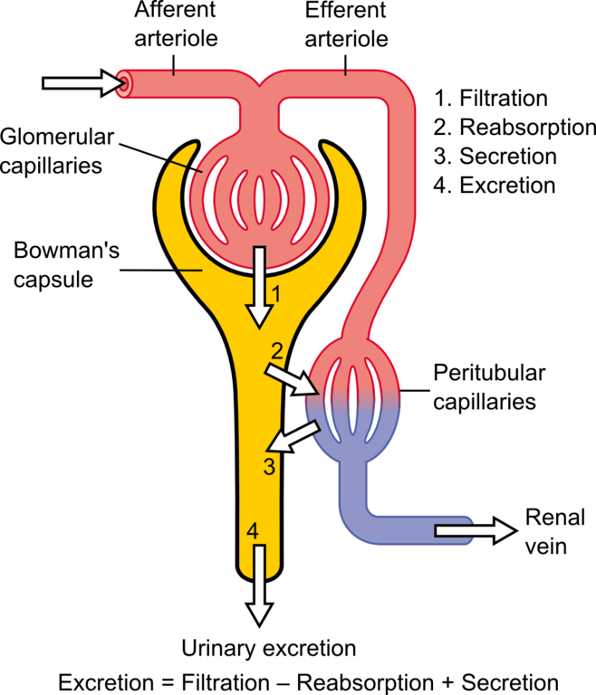 Filtration process