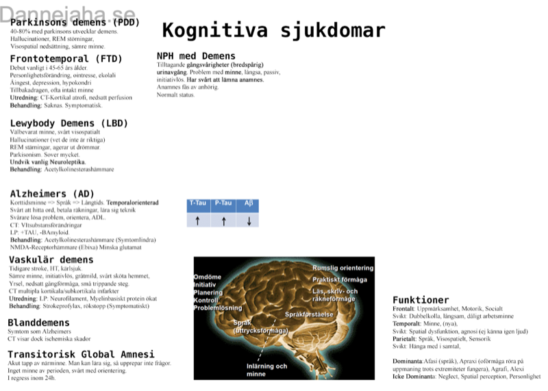 Neurologiska sjukdomar översikt 3
