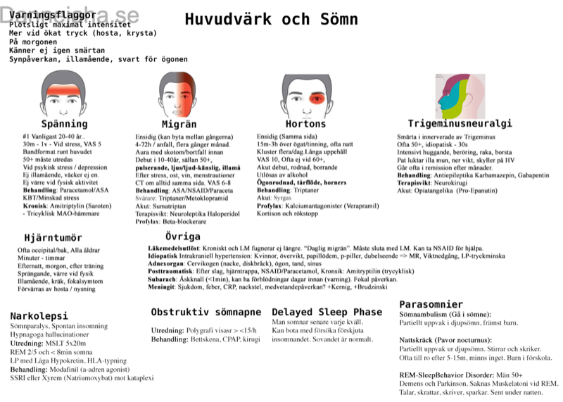 Neurologiska sjukdomar översikt 4