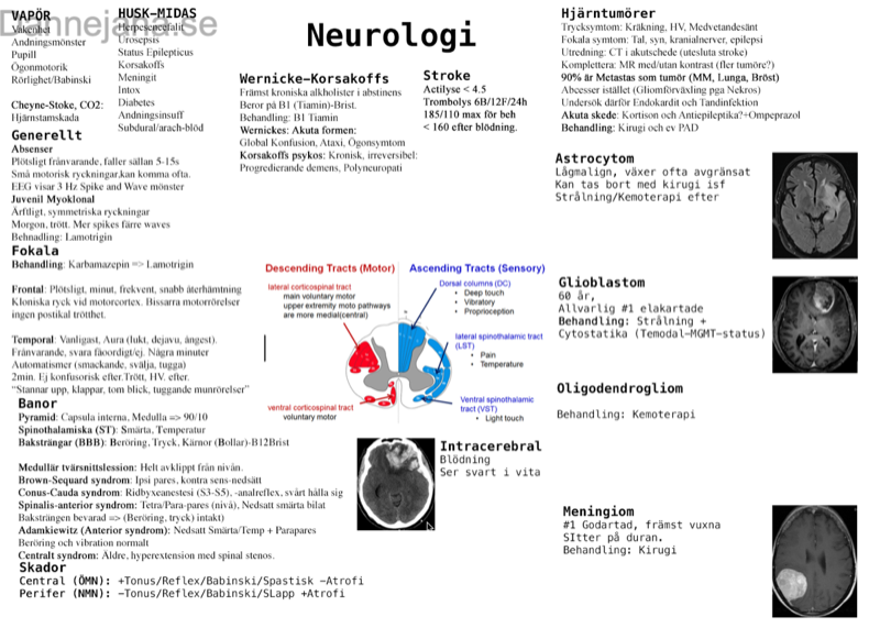 Neurologiska sjukdomar översikt 5