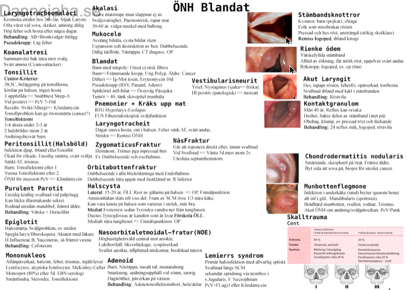 ÖNH-sjukdomar översikt 1